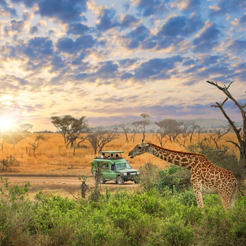 Africa Holiday Packages